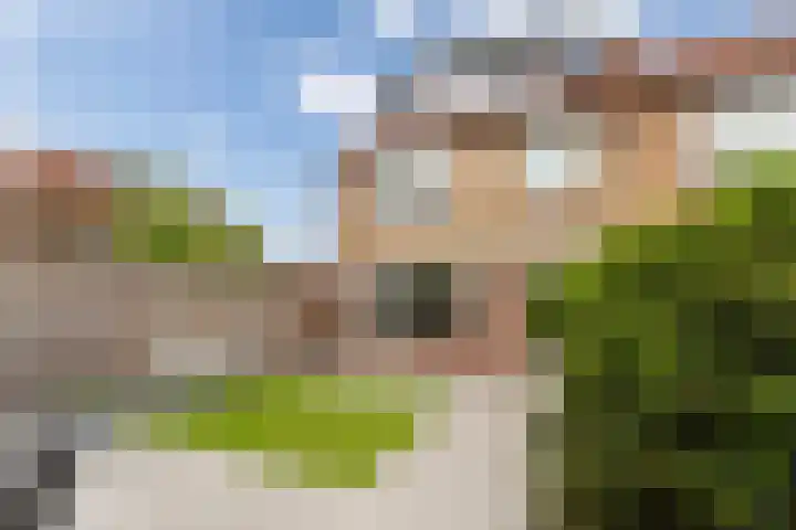 van Oldenbarneveltstraat 53 Zuid-Beijerland thumbnail 36