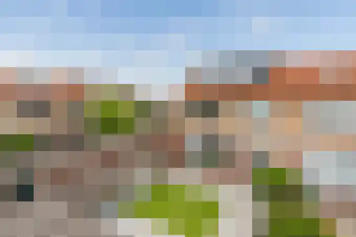 van Oldenbarneveltstraat 53 Zuid-Beijerland thumbnail 39