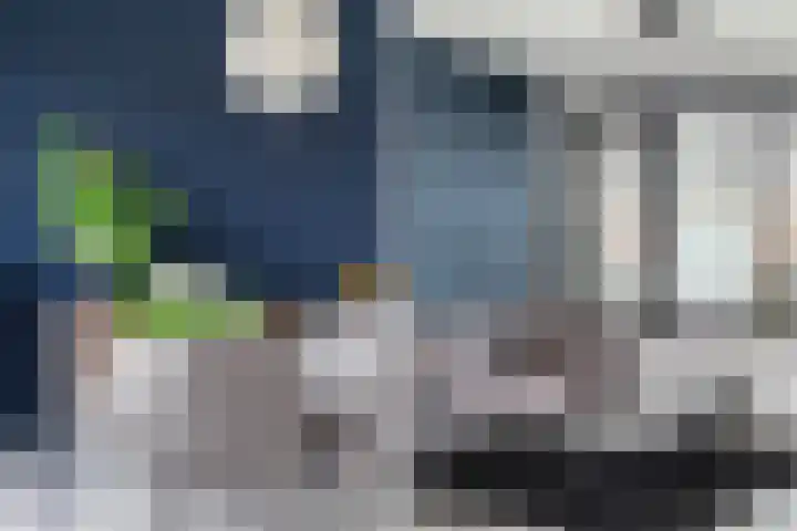 van Oldenbarneveltstraat 53 Zuid-Beijerland thumbnail 9