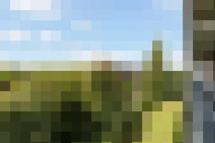 Van Oldenbarneveltstraat 552 Nijkerk thumbnail 5