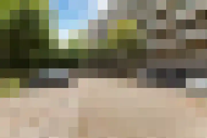 Van Oldenbarneveltstraat 552 Nijkerk thumbnail 6
