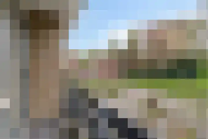 Van Oldenbarneveltstraat 60 Nijkerk thumbnail 14