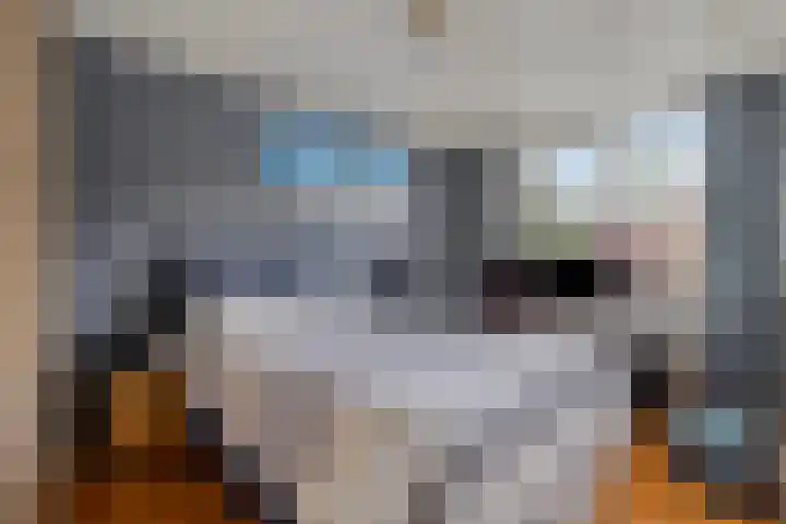 Van Oldenbarneveltstraat 60 Nijkerk thumbnail 15