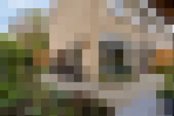 Van Oldenbarneveltstraat 60 Nijkerk thumbnail 27