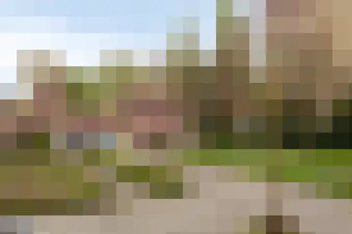 Van Oldenbarneveltstraat 60 Nijkerk thumbnail 32