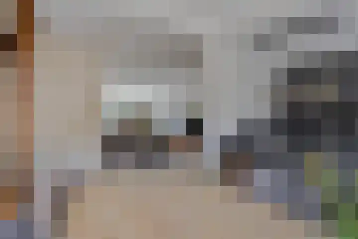 Van Oldenbarneveltstraat 60 Nijkerk thumbnail 7