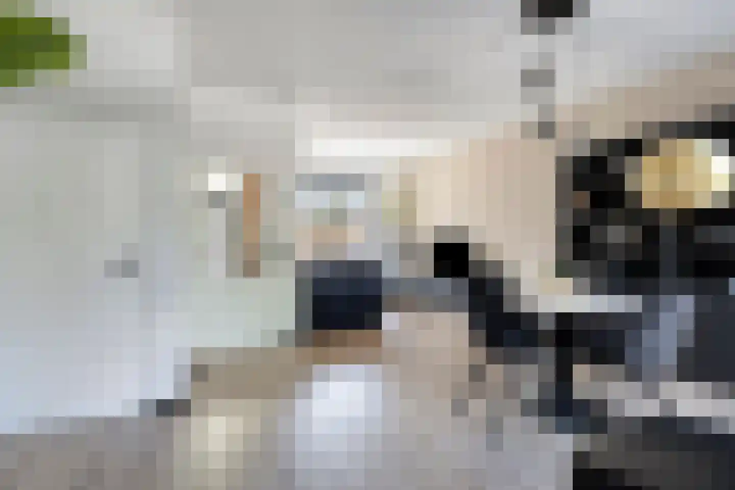 Van Oldenbarneveltstraat 7 Breukelen thumbnail 13
