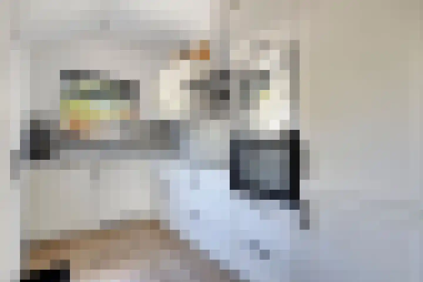 Van Oldenbarneveltstraat 7 Breukelen thumbnail 15