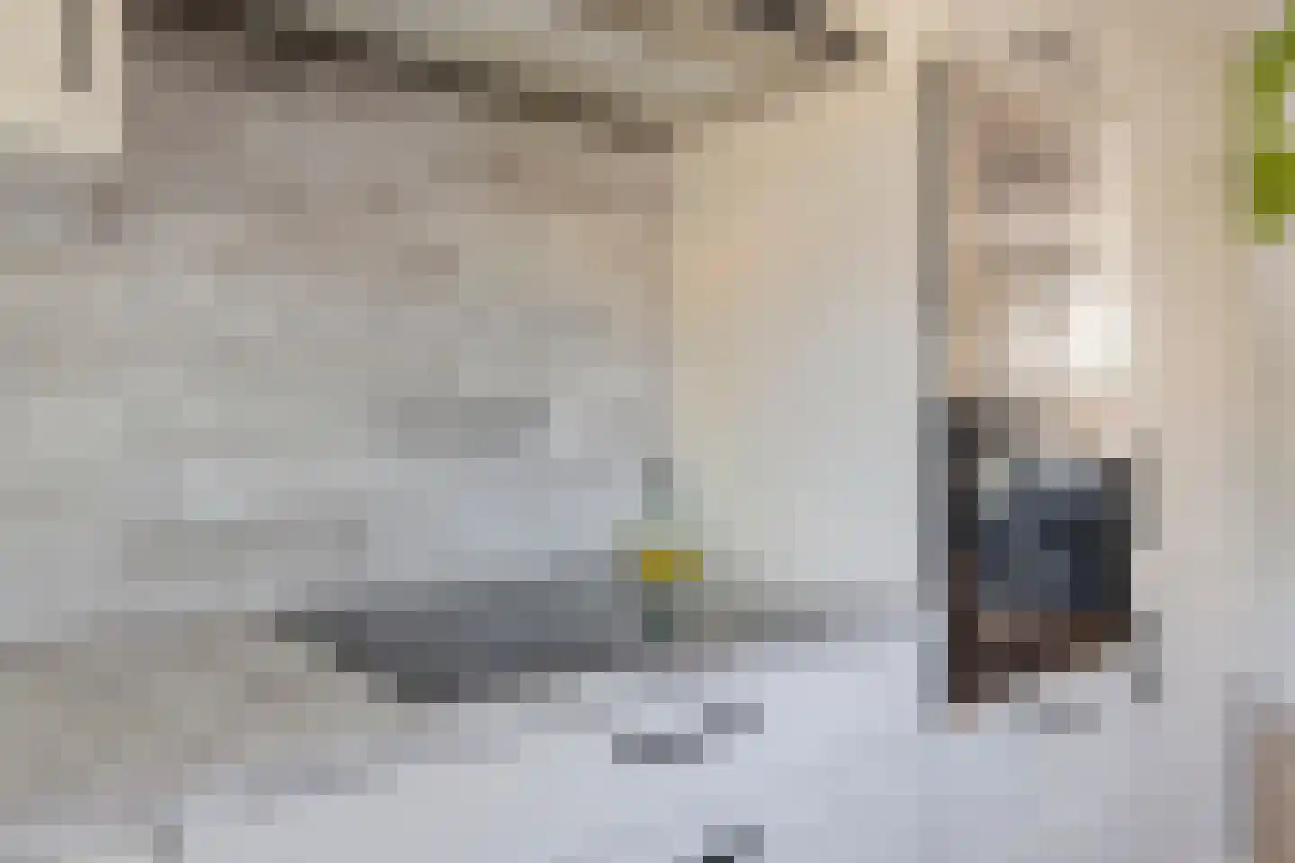 Van Oldenbarneveltstraat 7 Breukelen thumbnail 18