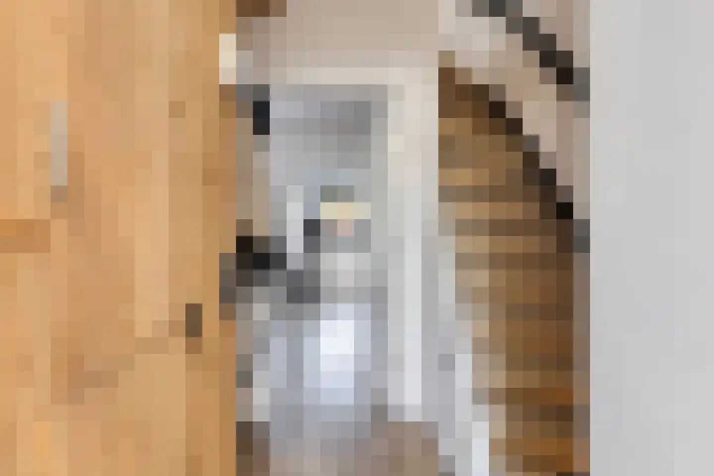 Van Oldenbarneveltstraat 7 Breukelen thumbnail 5
