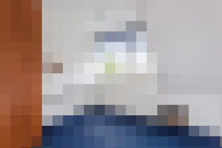 Van Oldenbarneveltstraat 84 Achterveld thumbnail 23