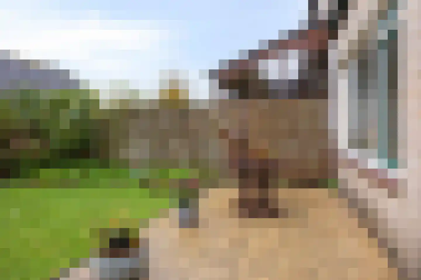 Van Oldenbarneveltstraat 94 Achterveld thumbnail 24