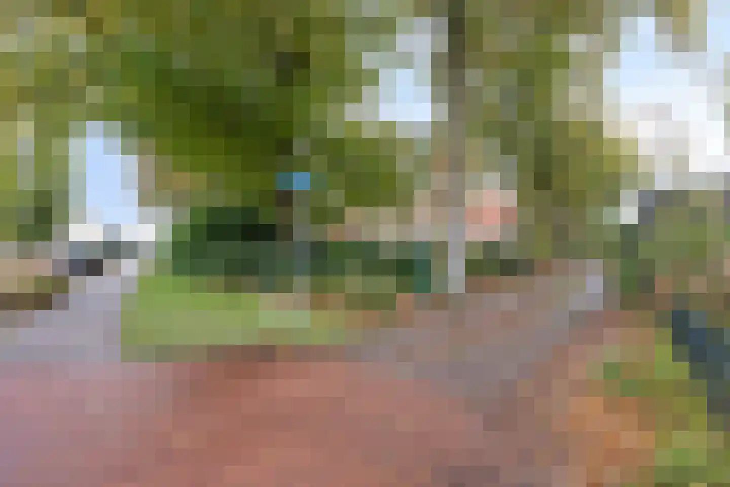 Van Oldenbarneveltstraat 94 Achterveld thumbnail 37