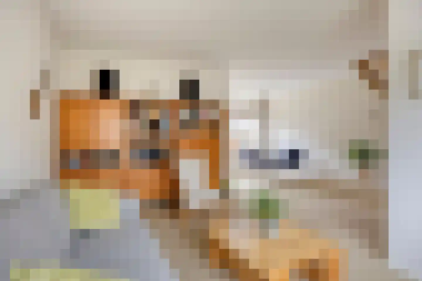 Van Oldenbarneveltstraat 94 Achterveld thumbnail 9
