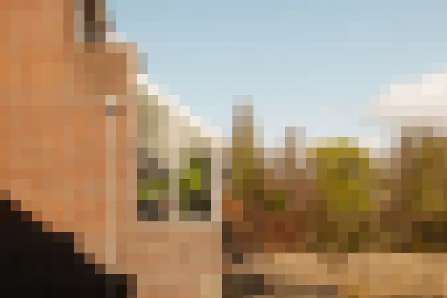 Van Oldenbarneveltweg 12 Wassenaar thumbnail 15