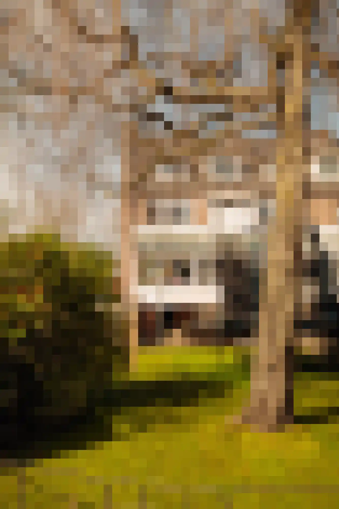 Van Oldenbarneveltweg 12 Wassenaar thumbnail 19