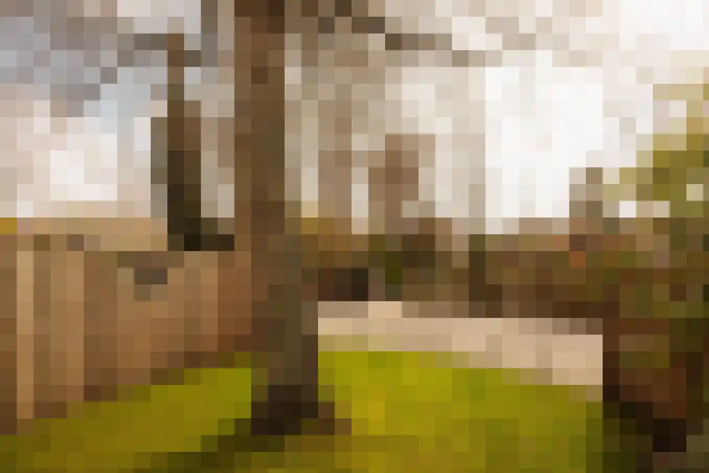 Van Oldenbarneveltweg 12 Wassenaar thumbnail 20