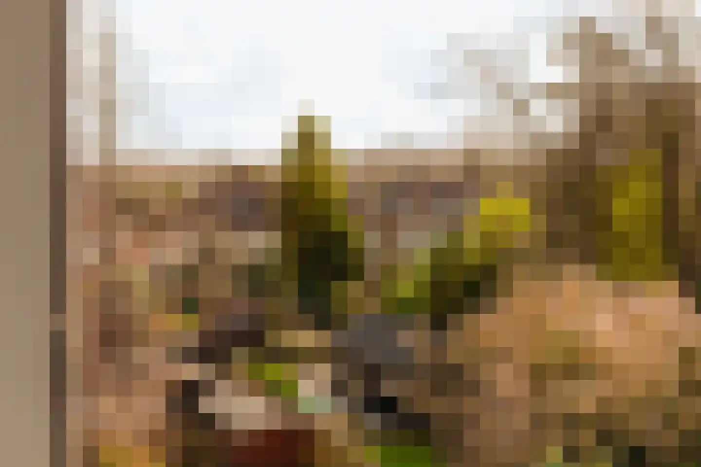 Van Oldenbarneveltweg 12 Wassenaar thumbnail 30