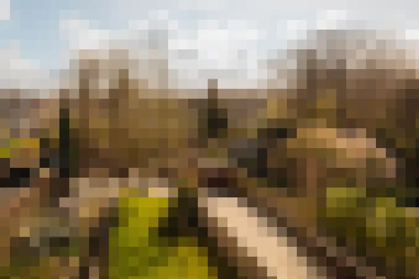 Van Oldenbarneveltweg 12 Wassenaar thumbnail 41