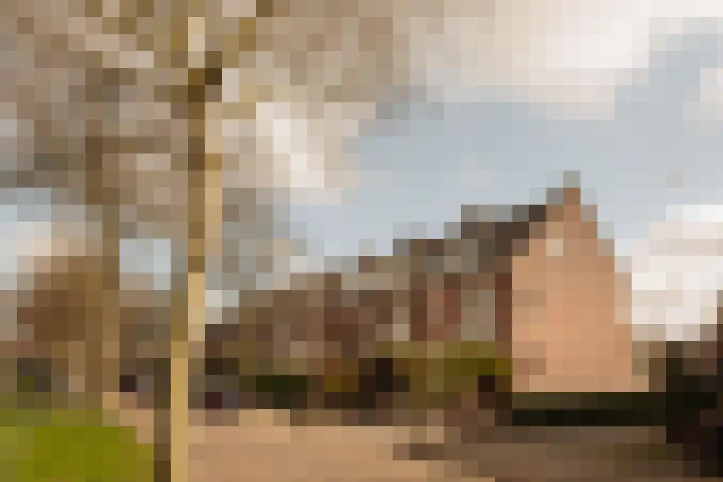 Van Oldenbarneveltweg 12 Wassenaar thumbnail 48