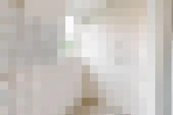 van Oldenborghweg 22 Wijk aan Zee thumbnail 16