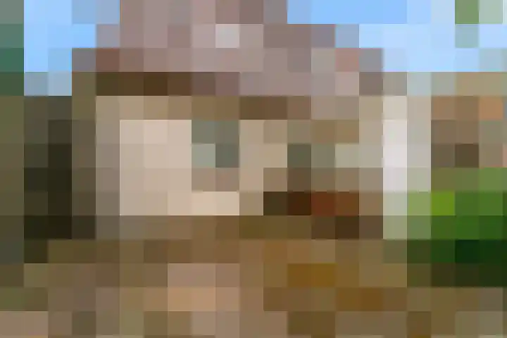 van Oldenborghweg 22 Wijk aan Zee thumbnail 22