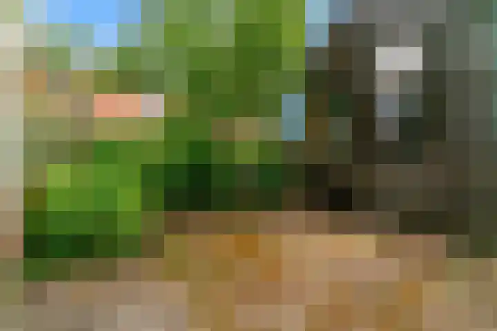 van Oldenborghweg 22 Wijk aan Zee thumbnail 23