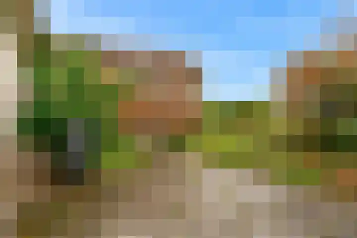 van Oldenborghweg 22 Wijk aan Zee thumbnail 25