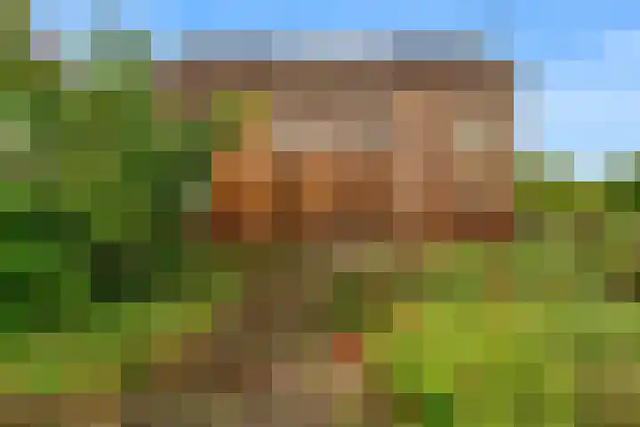 van Oldenborghweg 22 Wijk aan Zee thumbnail 26