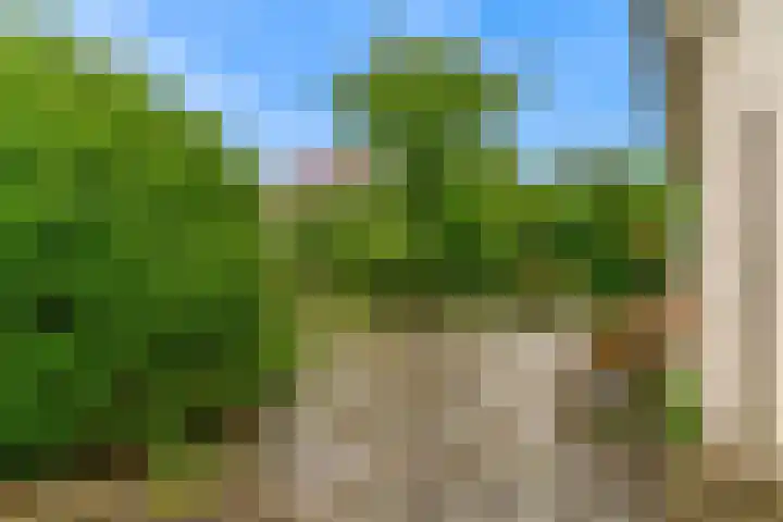 van Oldenborghweg 22 Wijk aan Zee thumbnail 28