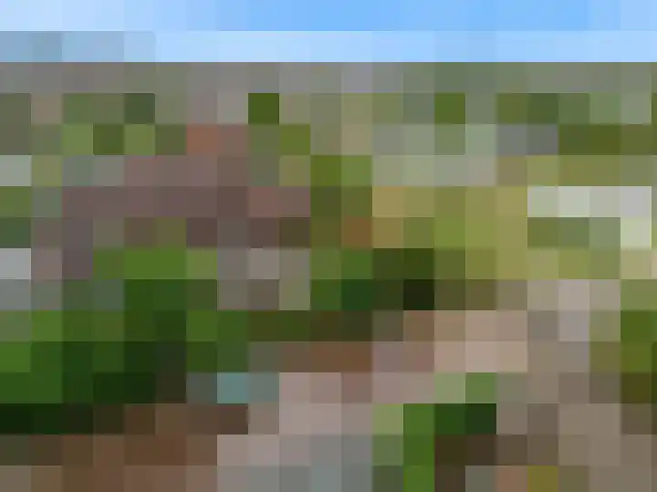 van Oldenborghweg 22 Wijk aan Zee thumbnail 32