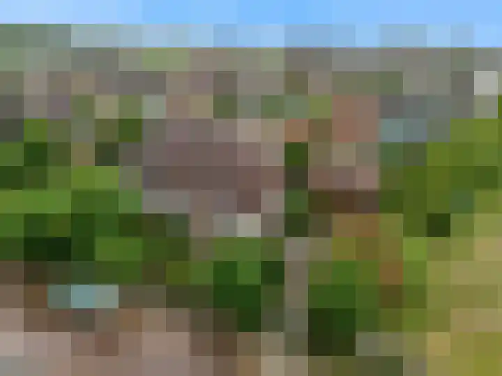 van Oldenborghweg 22 Wijk aan Zee thumbnail 33