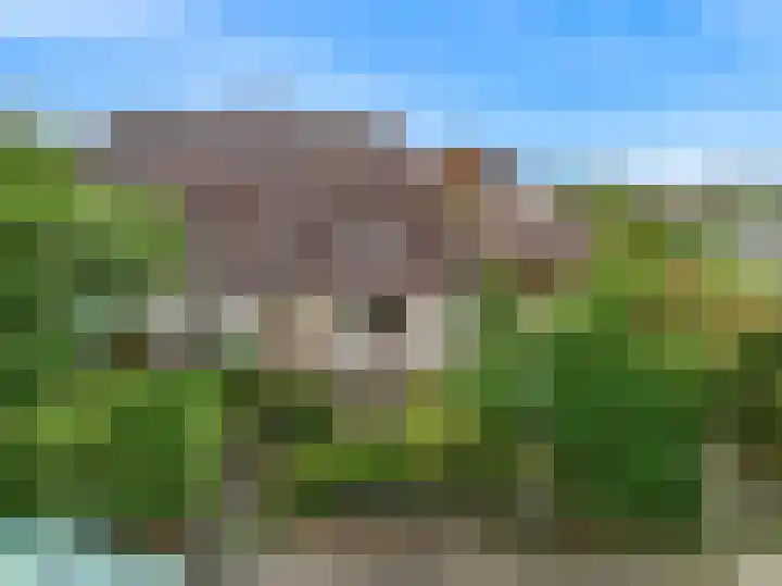 van Oldenborghweg 22 Wijk aan Zee thumbnail 39