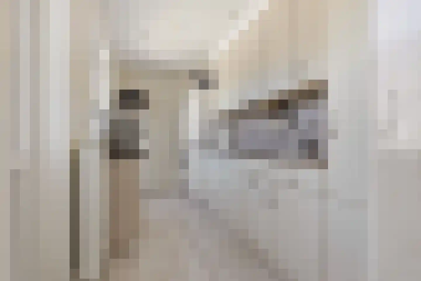 van Oldenborghweg 25 Wijk aan Zee thumbnail 10