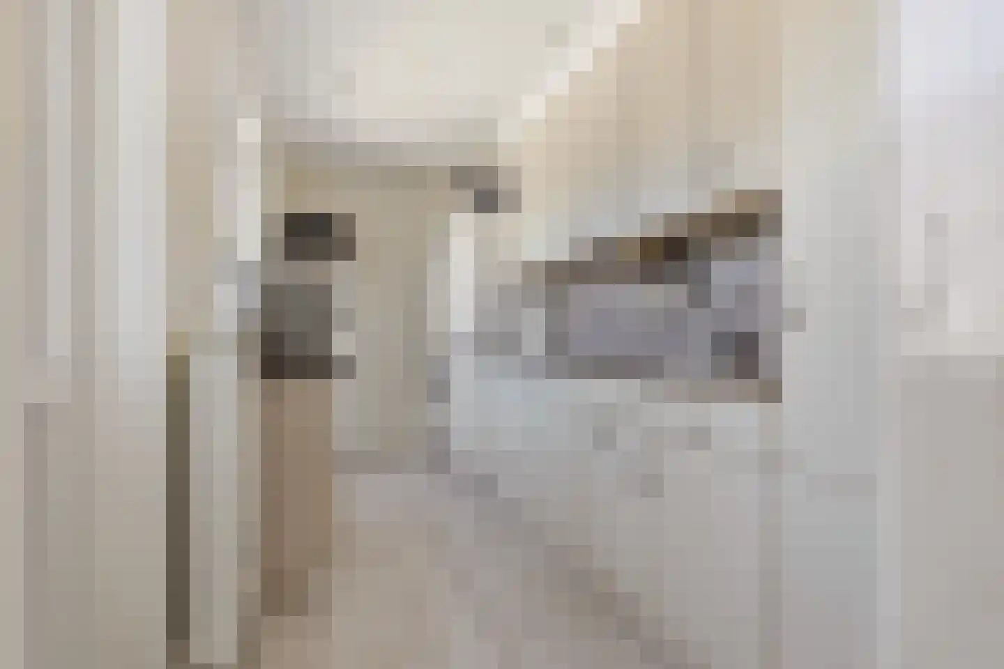 van Oldenborghweg 25 Wijk aan Zee thumbnail 10