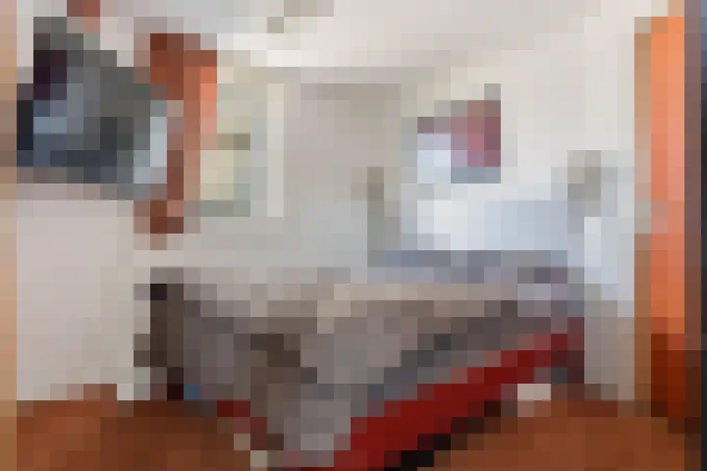 van Oldenborghweg 25 Wijk aan Zee thumbnail 16