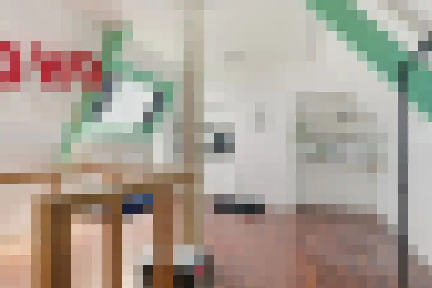 van Oldenborghweg 25 Wijk aan Zee thumbnail 21