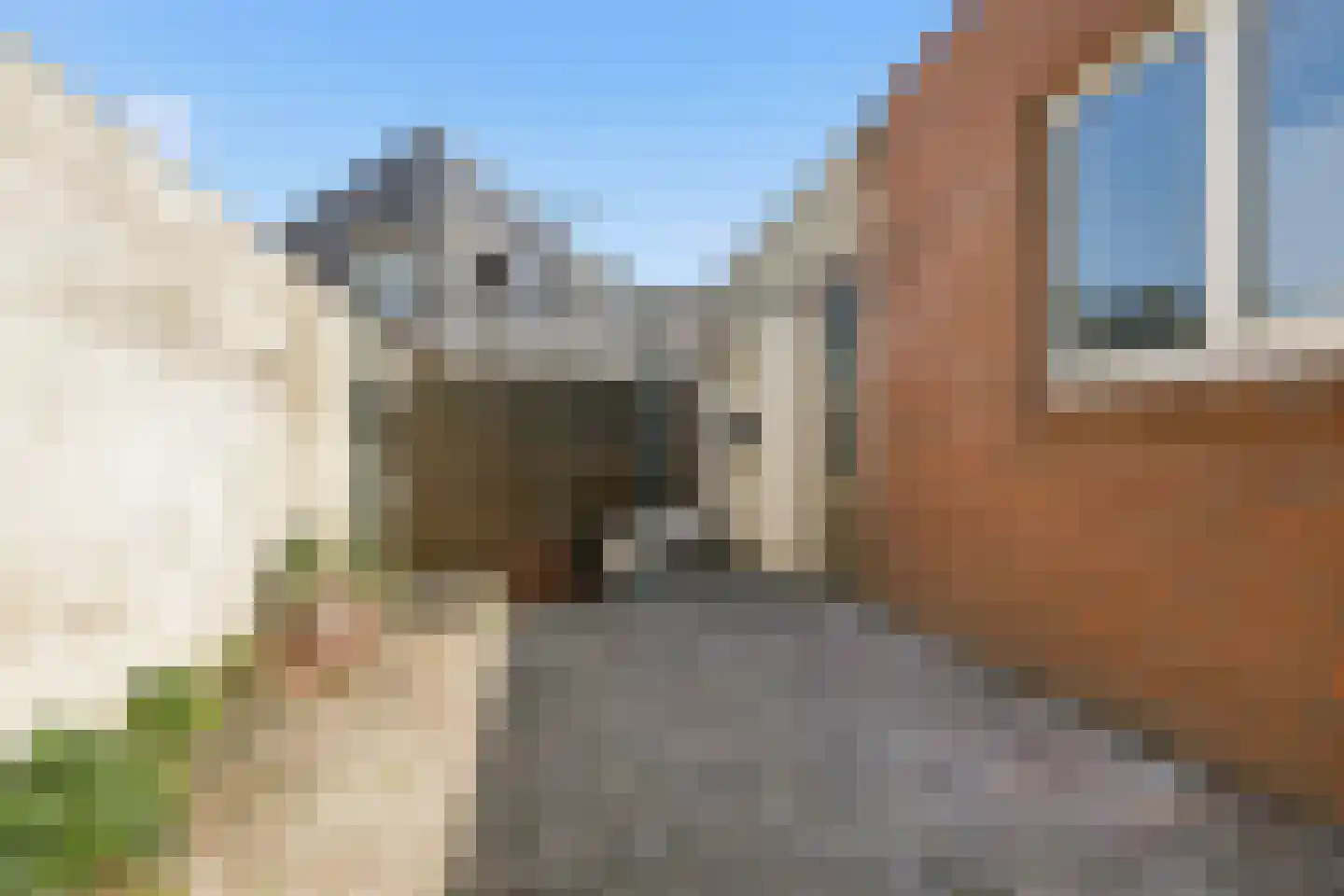 van Oldenborghweg 25 Wijk aan Zee thumbnail 24