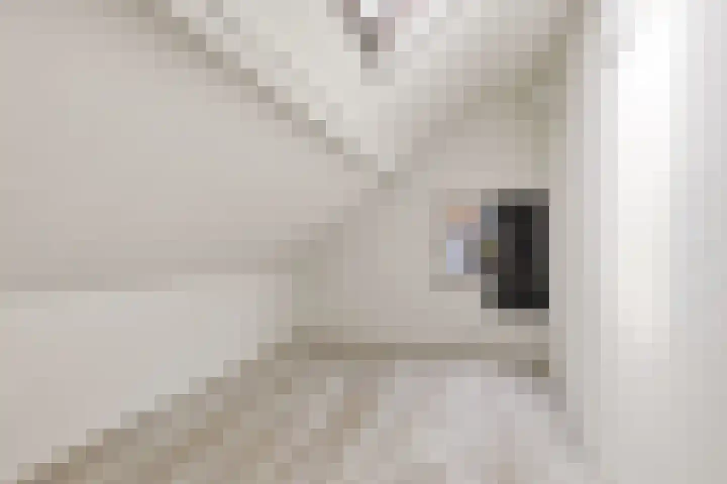 van Oldenborghweg 25 Wijk aan Zee thumbnail 33