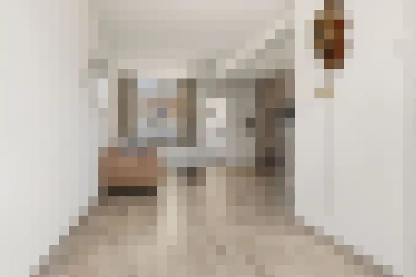 van Oldenborghweg 25 Wijk aan Zee thumbnail 9