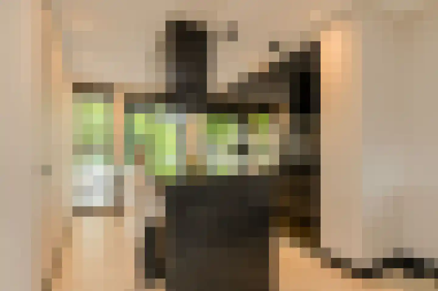 Van Oldeneellaan 73 Oosterhout thumbnail 8