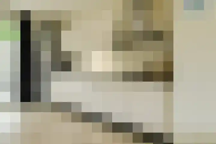 Van Oldeneellaan 91 Oosterhout thumbnail 12