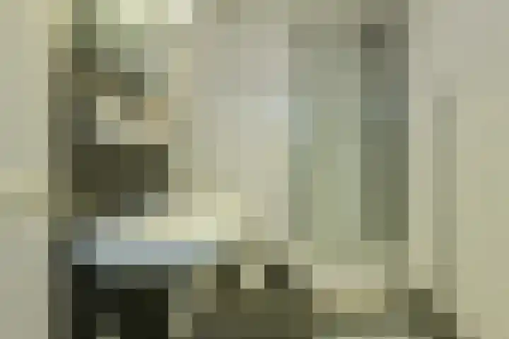 Van Oldeneellaan 91 Oosterhout thumbnail 19