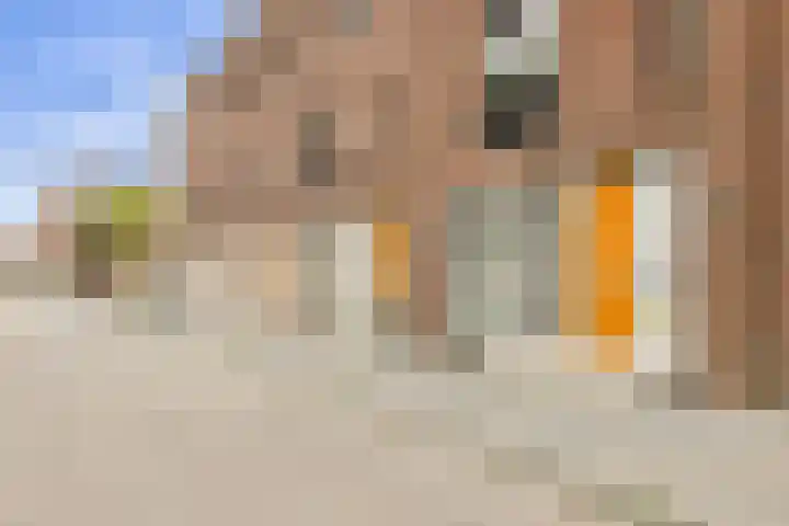 Van Oldeneellaan 91 Oosterhout thumbnail 33