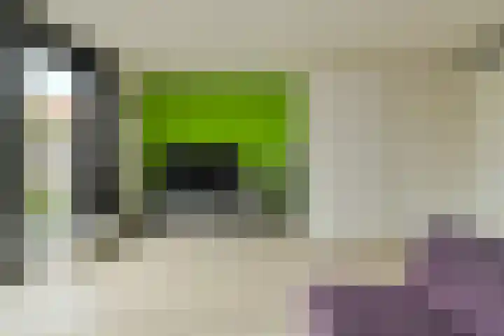 Van Oldeneellaan 91 Oosterhout thumbnail 8