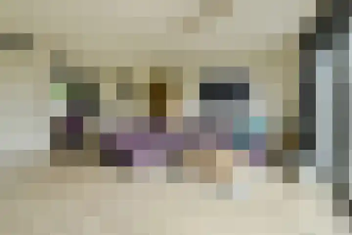 Van Oldeneellaan 91 Oosterhout thumbnail 9