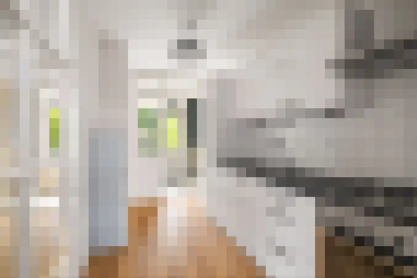 Van Oldenielstraat 19 Deventer thumbnail 13