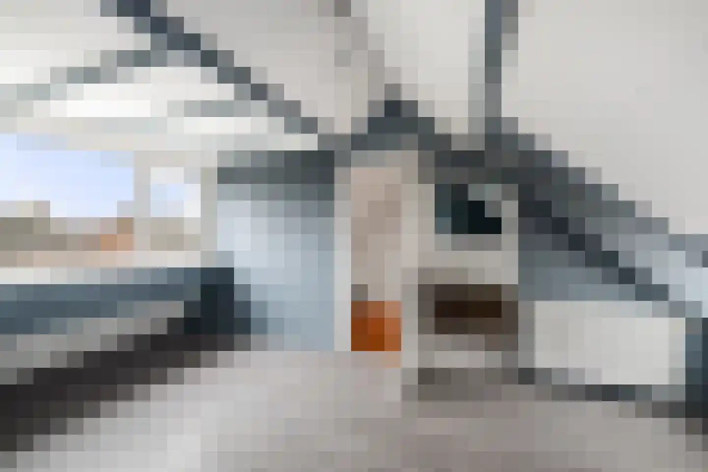 Van Oldenielstraat 19 Deventer thumbnail 26