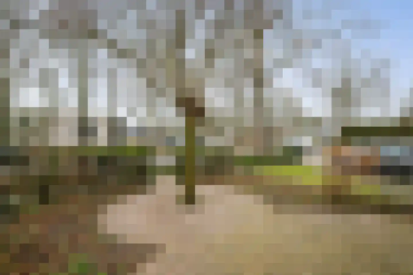 Van Oldenielstraat 19 Deventer thumbnail 30