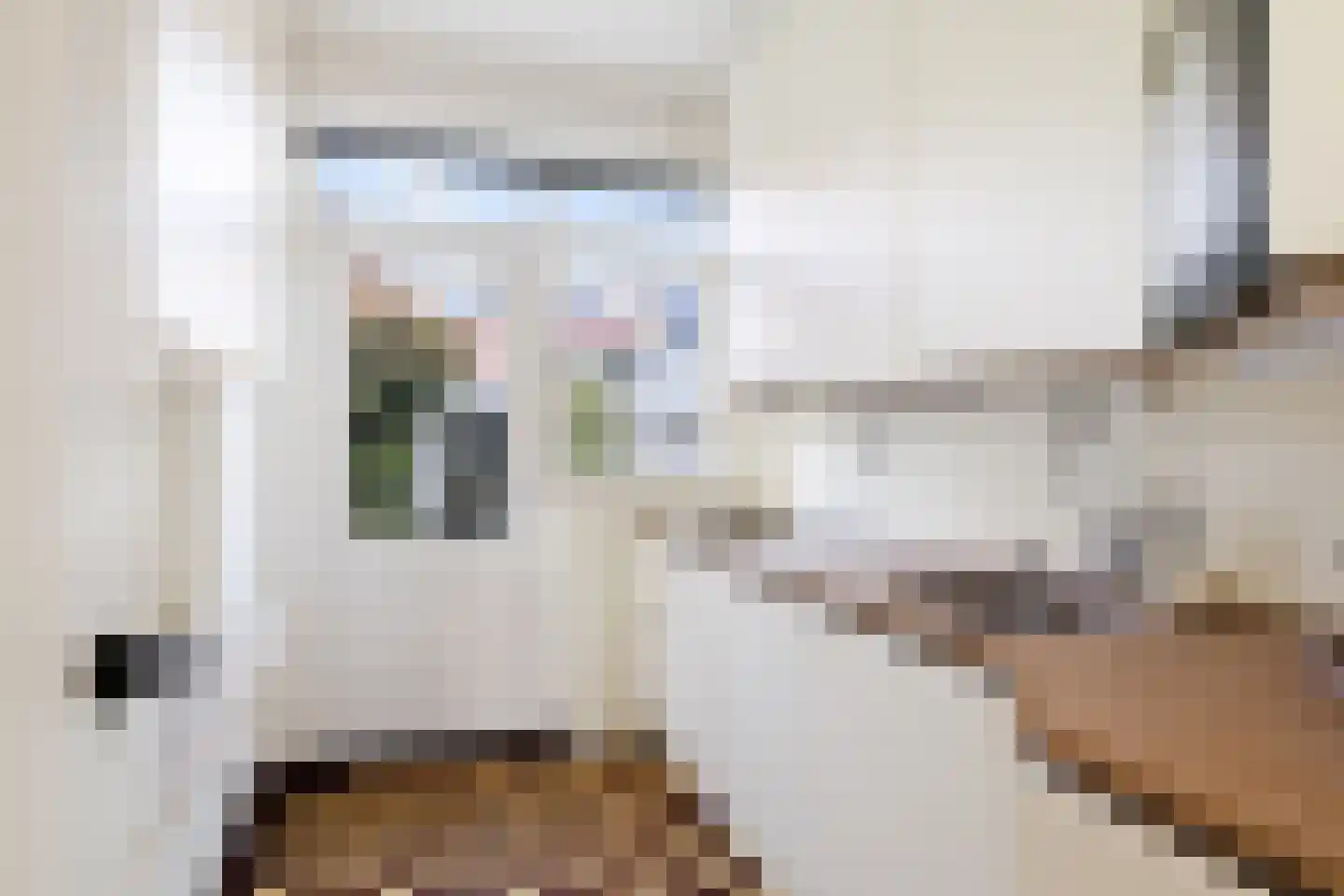 Van Oldenielstraat 3 Deventer thumbnail 14